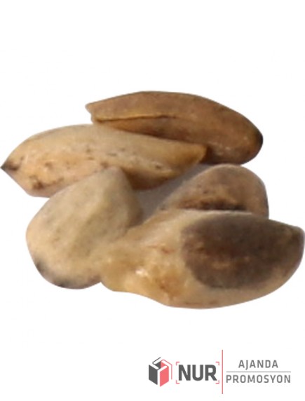 0522-250 Tohumlu Tükenmez Kalem