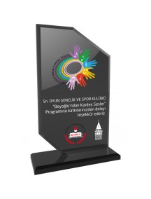 EKT-205 Kristal Plaket