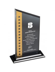 EKT-315 Kristal Plaket