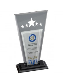 EKT-360 Kristal Plaket