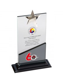 EKT-480 Kristal Plaket